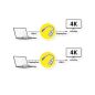   Roline USB C - Displayport 4K 60HZ kétirányú átalakító (11.04.5957)