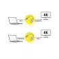   Roline USB C - Displayport 4K 60HZ kétirányú átalakító (11.04.5957)