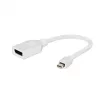 Gembird mini DisplayPort apa - DisplayPort anya adapter (A-MDPM-DPF-001-W)