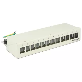   Delock Keystone Számítógép Patch Panel 12 Port, szürke (43335)