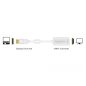 Delock Adapter Displayport 1.1 apa - HDMI anya (61767)