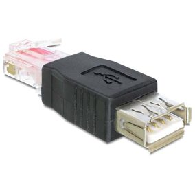 Delock USB anya - RJ45 apa adapter (65234)