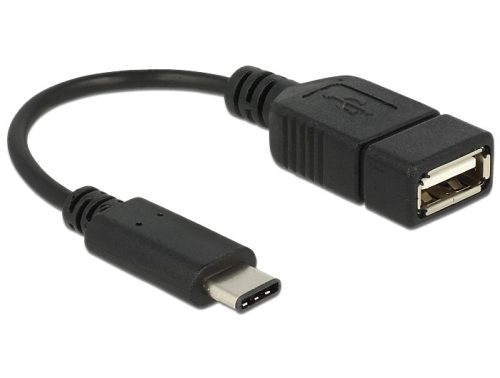 Delock USB C 3.1 apa - USB-A 2.0 anya, kábel, 0.15m (65579)