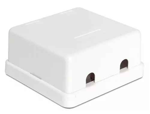 Delock Keystone 2 portos falra szerelhető doboz (86207)