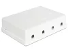 Delock Keystone 4 portos falra szerelhető doboz (86208)