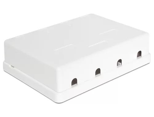 Delock Keystone 4 portos falra szerelhető doboz (86208)