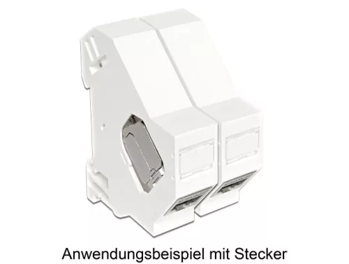 Delock Keystone foglalat DIN sínhez (86212)
