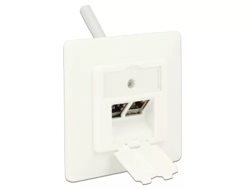 Delock Keystone fali csatlakozás 2 Portos kompakt (86219)