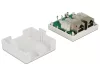 Delock Moduláris fali kimenet 2 Port Cat.6 (86269)