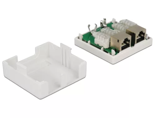 Delock Moduláris fali kimenet 2 Port Cat.6 (86269)