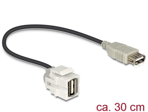 Delock Keystone modul USB 2.0 A anya - anya 250° kábellel (86329)