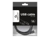 Gembird USB 2.0 AM-BM nyomtató kábel 1.8m (CCP-USB2-AMBM-6)