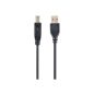 Gembird USB 2.0 AM-BM nyomtató kábel 1.8m (CCP-USB2-AMBM-6)