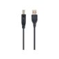 Gembird USB 2.0 AM-BM nyomtató kábel 3m (CCP-USB2-AMBM-10)