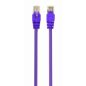 Gembird UTP CAT5e RJ45 patch kábel, 0.25m, ibolya (PP12-0.25M/V)