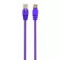 Gembird UTP CAT5e RJ45 patch kábel, 0.25m, ibolya (PP12-0.25M/V)