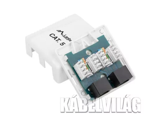 Lanberg CAT5e fali aljzat 2xRJ45 (OU5-0002-W)