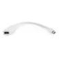 Gembird mini Displayport apa - Displayport anya adapter (A-MDPM-HDMIF-02-W)