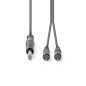 Nedis sztereó Jack 6.35" - 2x RCA 3m kábel (COTH23300GY30)