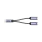 Unitek USB C - 2 x USB C audio adapter (M206A)